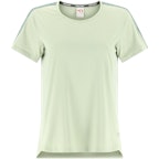 Light Dusty Green Light Dusty Green