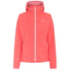 Candy Coral Candy Coral