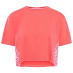 Candy Coral Candy Coral